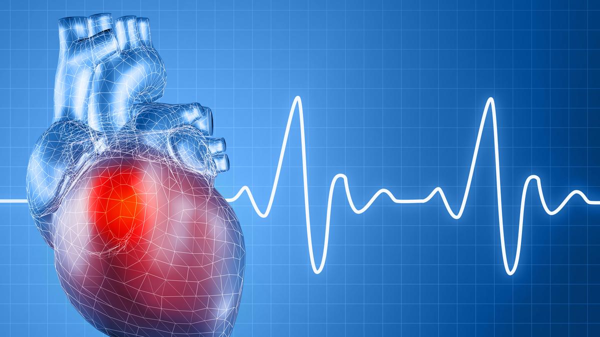 Building the heart's endurance through cardiac rehabilitation